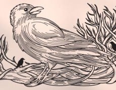 CROW TATTOO ILLUSTRATION