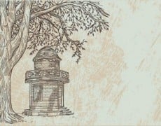 WEDDING INVITATION