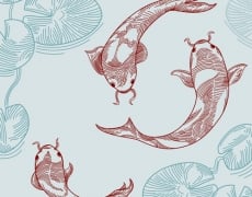 SWIMMING KOI