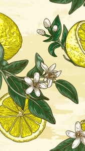 Lemon pattern wallpaper