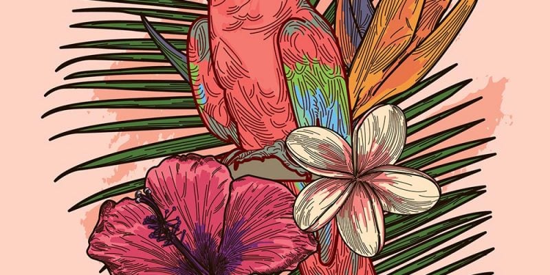 parrot in sunglasses