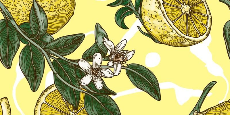 lemon pattern illustration