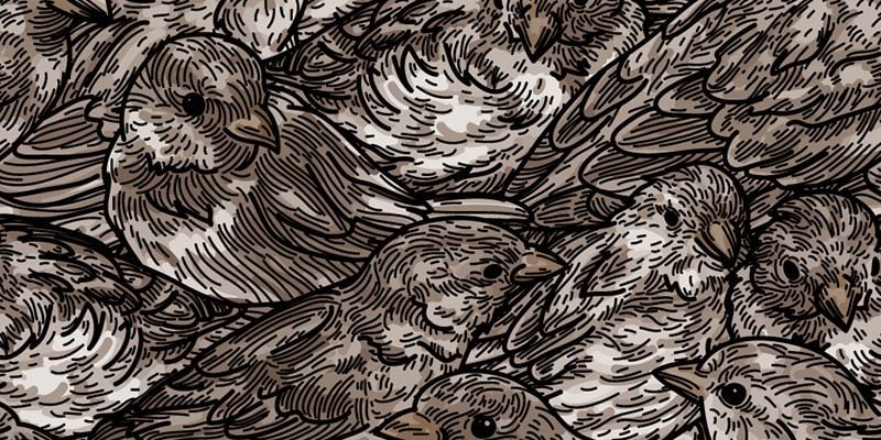 Sparrow pattern illustration