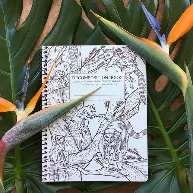 Photo of Decomposition Books notebook with lemurs on the cover on top of tropical leaves