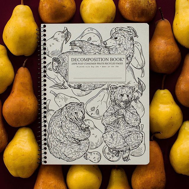 Image of Decomposition Books notebook with Bear and Pear illustrations on it on top of pear background