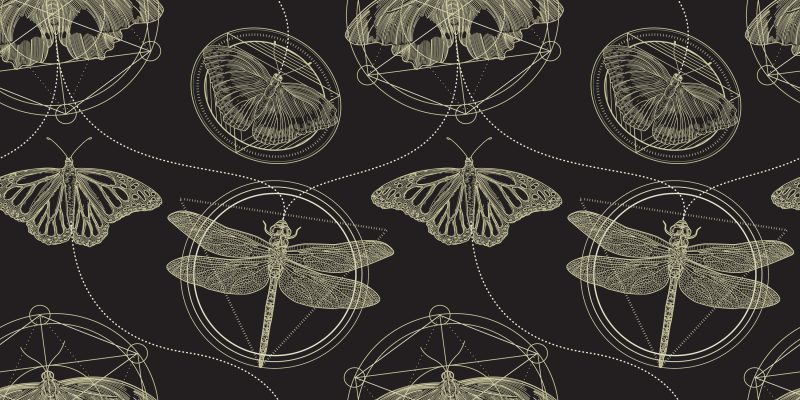 geometric insect pattern on black